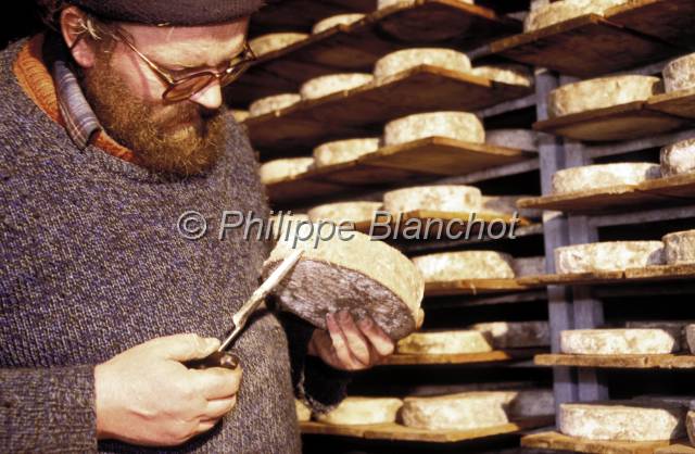 tomme de savoie 19.JPG - Tomme de SavoieTest de maturitéAlpageMassif des BaugesSavoieFrance